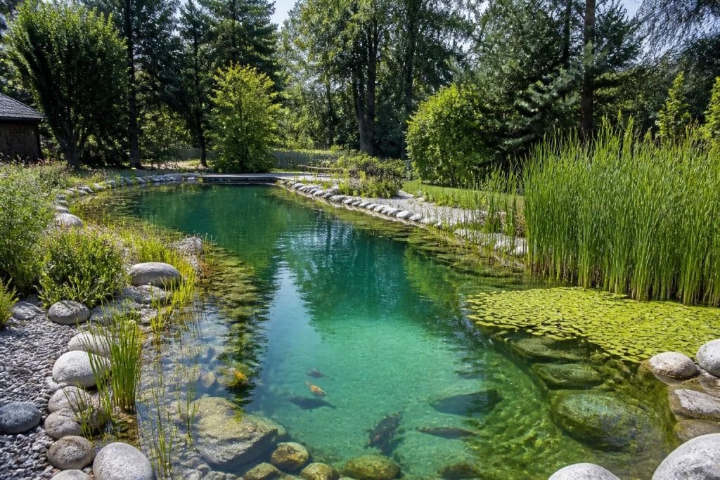 découvrez les piscines naturalistes : leurs avantages, leur fonctionnement inspiré de la nature et les méthodes de construction écologique pour un bassin respectueux de l'environnement.